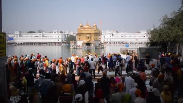 Amritsar Indien Februari 2023 Oidentifierade Anhängare Från Olika Delar Golden — Stockvideo