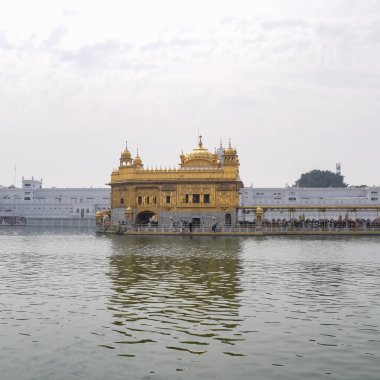 Amritsar, Punjab, Hindistan 'daki Altın Tapınağın (Harmandir Sahib) güzel manzarası, ünlü Hintli sih simgesi, Altın Tapınak, Amritsar, Hindistan' daki Sihlerin ana mabedi