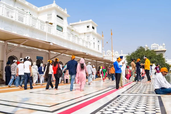 Amritsar, Hindistan - 26 Şubat 2023 - Amritsar, Punjab, Punjab 'daki Altın Tapınak' taki (Harmandir Sahib) tanımlanamayan dindarlar,