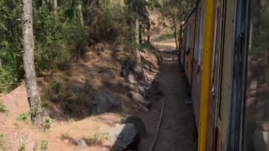 Shimla, Himachal Pradesh, Hindistan - 14 Mayıs 2022 - Oyuncak tren Kalka-Shimla rotası, tepe, oyuncak tren Kalka 'dan Shimla' ya yeşil doğal orman arasında hareket