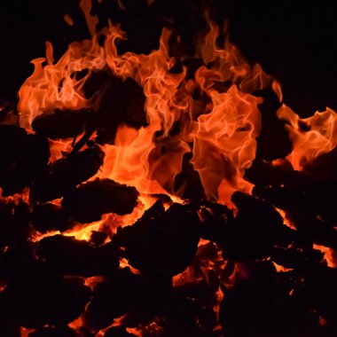Siyah arka planda alevler, alev alev dokusu arka planda, çok güzel, ateş yanıyor, ateş odun ve inek gübresi ateşiyle yanıyor.