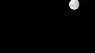 Moon Timelapse, Stock zamanaşımı: Dolunay karanlık gökyüzünde yükseliyor, gece vakti. Dolunay zamanı, gece karanlığında karanlık gökyüzünde ay ışığıyla birlikte kaybolur. Yüksek kaliteli beleş video kaydı veya zaman ayarlı
