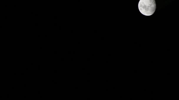 Місяць Тімелапс Проміжок Часу Повний Місяць Сходу Темному Небі Природи — стокове відео
