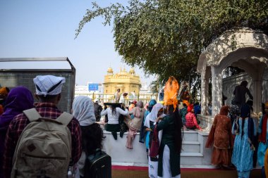 Amritsar, Hindistan - 26 Şubat 2023 - Amritsar, Punjab, Punjab 'daki Altın Tapınak' taki (Harmandir Sahib) tanımlanamayan dindarlar,