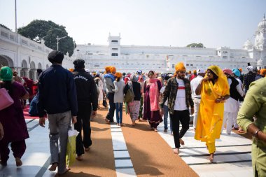 Amritsar, Hindistan - 26 Şubat 2023 - Amritsar, Punjab, Punjab 'daki Altın Tapınak' taki (Harmandir Sahib) tanımlanamayan dindarlar,