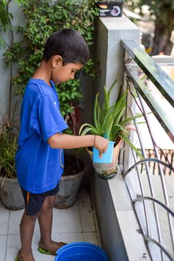 Şirin 5 yaşındaki Asyalı çocuk, ev balkonundaki saksıları suluyor. Bitkileri sularken küçük tatlı bir çocuğun doğaya olan sevgisi.