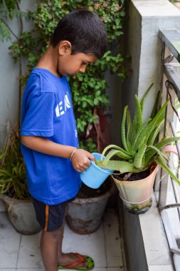 Şirin 5 yaşındaki Asyalı çocuk, ev balkonundaki saksıları suluyor. Bitkileri sularken küçük tatlı bir çocuğun doğaya olan sevgisi.