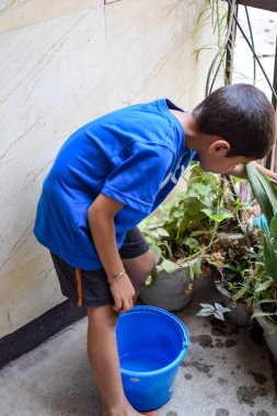 Şirin 5 yaşındaki Asyalı çocuk, ev balkonundaki saksıları suluyor. Bitkileri sularken küçük tatlı bir çocuğun doğaya olan sevgisi.
