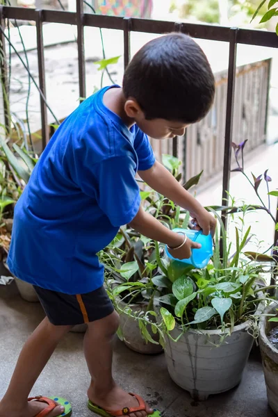 Şirin 5 yaşındaki Asyalı çocuk, ev balkonundaki saksıları suluyor. Bitkileri sularken küçük tatlı bir çocuğun doğaya olan sevgisi.