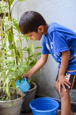 Şirin 5 yaşındaki Asyalı çocuk, ev balkonundaki saksıları suluyor. Bitkileri sularken küçük tatlı bir çocuğun doğaya olan sevgisi.