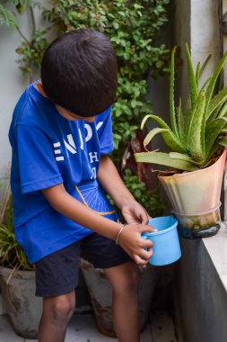 Şirin 5 yaşındaki Asyalı çocuk, ev balkonundaki saksıları suluyor. Bitkileri sularken küçük tatlı bir çocuğun doğaya olan sevgisi.