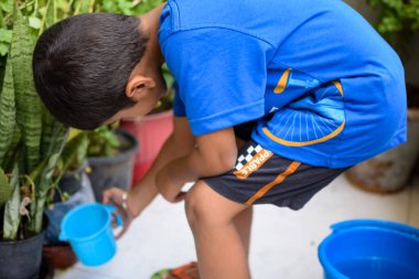 Şirin 5 yaşındaki Asyalı çocuk, ev balkonundaki saksıları suluyor. Bitkileri sularken küçük tatlı bir çocuğun doğaya olan sevgisi.