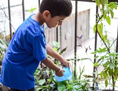 Şirin 5 yaşındaki Asyalı çocuk, ev balkonundaki saksıları suluyor. Bitkileri sularken küçük tatlı bir çocuğun doğaya olan sevgisi.