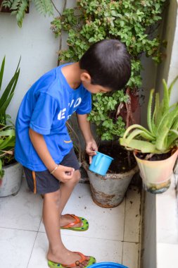 Şirin 5 yaşındaki Asyalı çocuk, ev balkonundaki saksıları suluyor. Bitkileri sularken küçük tatlı bir çocuğun doğaya olan sevgisi.