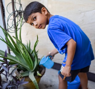 Şirin 5 yaşındaki Asyalı çocuk, ev balkonundaki saksıları suluyor. Bitkileri sularken küçük tatlı bir çocuğun doğaya olan sevgisi.
