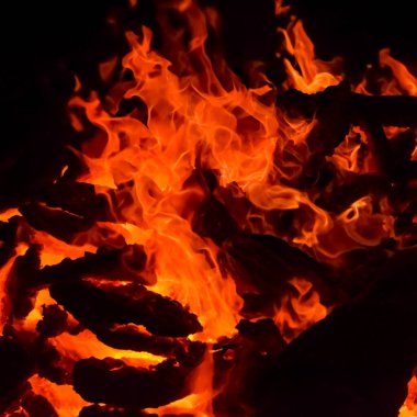 Siyah arka planda alevler, alev alev dokusu arka planda, çok güzel, ateş yanıyor, ateş odun ve inek gübresi ateşiyle yanıyor.