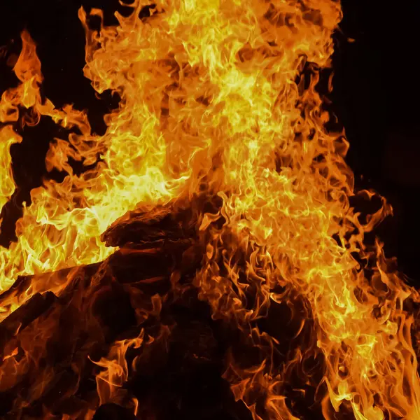 Siyah arka planda alevler, alev alev dokusu arka planda, çok güzel, ateş yanıyor, ateş odun ve inek gübresi ateşiyle yanıyor.