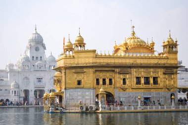 Amritsar, Punjab, Hindistan 'daki Altın Tapınağın (Harmandir Sahib) güzel manzarası, ünlü Hintli sih simgesi, Altın Tapınak, Amritsar, Hindistan' daki Sihlerin ana mabedi