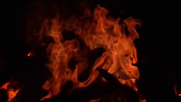 Vuur Vlammen Zwarte Achtergrond Blaze Vuur Vlam Textuur Achtergrond Prachtig — Stockvideo