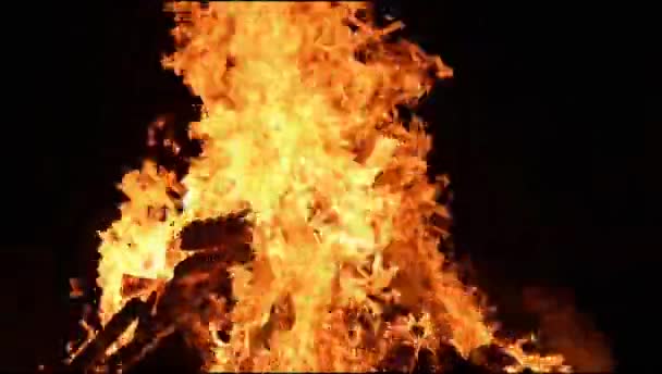 Llamas Fuego Sobre Fondo Negro Llama Fuego Llama Textura Fondo — Vídeo de stock