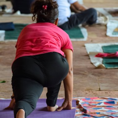 Hindistan, Yeni Delhi 'deki Lodhi Garden Park' ta yoga yapan Hintli genç bir kadından esinlendim. Genç vatandaş dışarıda egzersiz yapıyor ve yoga köşesinde duruyor. Spor salonu ve yaşam dengesi konsepti