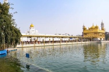 Amritsar, Punjab, Hindistan 'daki Altın Tapınağın (Harmandir Sahib) güzel manzarası, ünlü Hintli sih simgesi, Altın Tapınak, Amritsar, Hindistan' daki Sihlerin ana mabedi