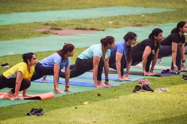 Yeni Delhi, Hindistan, 31 Mayıs 2023 - Lodhi Garden 'da farklı yaşlarda insanlar için grup yoga sınıfı Surya Namaskar, Uluslararası Yoga Günü, parkta yoga dersine katılan büyük bir grup yetişkin