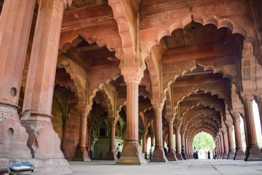 Lal Qila 'nın mimari detayları - Eski Delhi, Hindistan' daki Kızıl Kale, Delhi 'deki ünlü Hint şehirleri