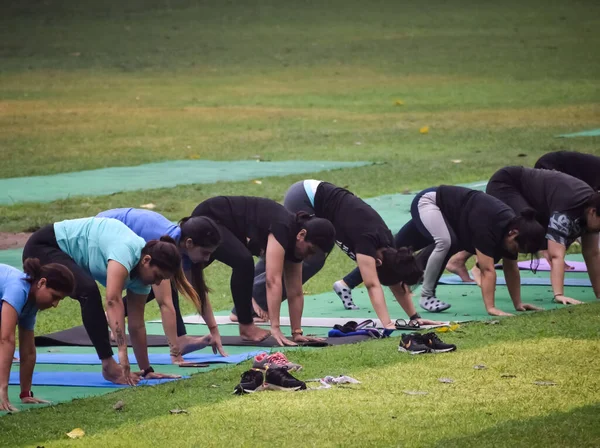 stock image New Delhi, India, May 31 2023 - Group Yoga exercise class Surya Namaskar for people of different age in Lodhi Garden, International Yoga Day, Big group of adults attending a yoga class in park