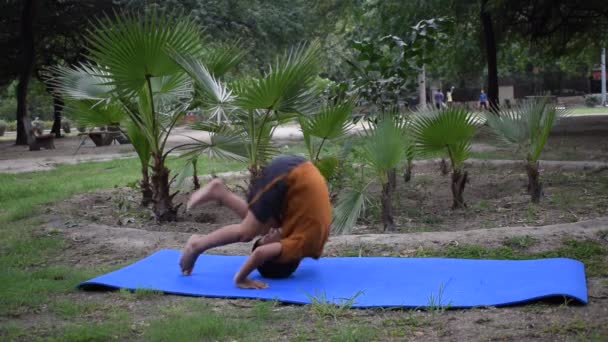 Aziatisch Slim Kind Doen Yoga Poseren Samenleving Park Outdoor Children — Stockvideo