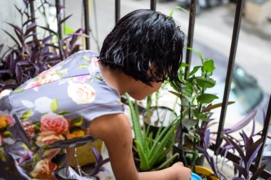 Şirin 5 yaşındaki Asyalı küçük kız, ev balkonundaki saksıları suluyor, bitkileri sularken doğa anaya duyulan sevgi, çocuk yetiştirme.