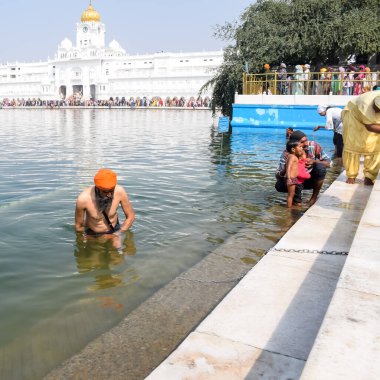 Amritsar, Hindistan - 26 Şubat 2023 - Amritsar, Punjab, Hindistan 'daki Altın Tapınak' ta (Harmandir Sahib) sarovarda kutsal dalış yapan tanımlanamayan dindarlar,