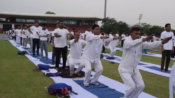 New Delhi Inde Juin 2023 Séance Exercices Yoga Groupe Pour — Video