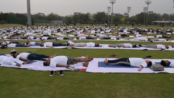 New Delhi India Juni 2023 Gruppe Yoga Treningsøkt Folk Yamuna – stockvideo