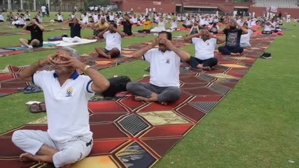 Nueva Delhi India Junio 2023 Sesión Ejercicios Yoga Grupo Para — Vídeo de stock
