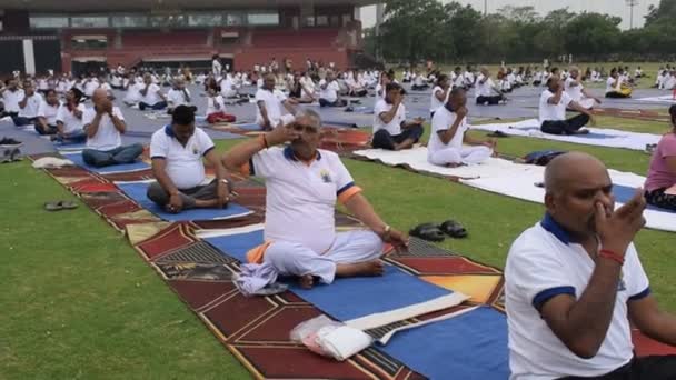 Yeni Delhi Hindistan Haziran 2023 Uluslararası Yoga Günü Nde Delhi — Stok video