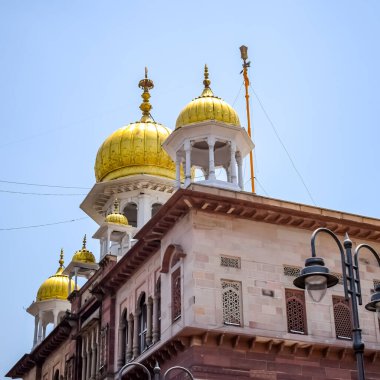 Gurudwara Sis Ganj Sahib, Hindistan 'da Eski Delhi' de bulunan dokuz tarihsel Gurdwara 'dan biridir, Chandni Chowk' da Sheesh Ganj Gurudwara, Eski Delhi 'de Kızıl Kale' nin karşısında yer alır.