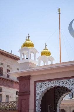 Gurudwara Sis Ganj Sahib, Hindistan 'da Eski Delhi' de bulunan dokuz tarihsel Gurdwara 'dan biridir, Chandni Chowk' da Sheesh Ganj Gurudwara, Eski Delhi 'de Kızıl Kale' nin karşısında yer alır.