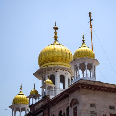Gurudwara Sis Ganj Sahib, Hindistan 'da Eski Delhi' de bulunan dokuz tarihsel Gurdwara 'dan biridir, Chandni Chowk' da Sheesh Ganj Gurudwara, Eski Delhi 'de Kızıl Kale' nin karşısında yer alır.