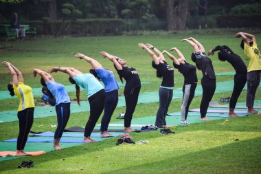 Yeni Delhi, Hindistan, 31 Mayıs 2023 - Lodhi Garden 'da farklı yaşlarda insanlar için grup yoga sınıfı Surya Namaskar, Uluslararası Yoga Günü, parkta yoga dersine katılan büyük bir grup yetişkin