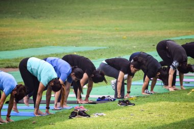 Yeni Delhi, Hindistan, 31 Mayıs 2023 - Lodhi Garden 'da farklı yaşlarda insanlar için grup yoga sınıfı Surya Namaskar, Uluslararası Yoga Günü, parkta yoga dersine katılan büyük bir grup yetişkin