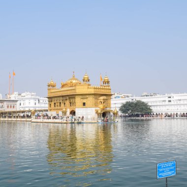 Amritsar, Punjab, Hindistan 'daki Altın Tapınağın (Harmandir Sahib) güzel manzarası, ünlü Hintli sih simgesi, Altın Tapınak, Amritsar, Hindistan' daki Sihlerin ana mabedi