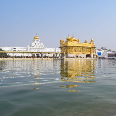 Amritsar, Punjab, Hindistan 'daki Altın Tapınağın (Harmandir Sahib) güzel manzarası, ünlü Hintli sih simgesi, Altın Tapınak, Amritsar, Hindistan' daki Sihlerin ana mabedi