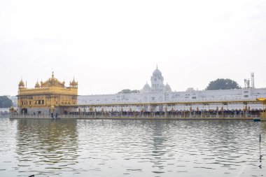 Amritsar, Punjab, Hindistan 'daki Altın Tapınağın (Harmandir Sahib) güzel manzarası, ünlü Hintli sih simgesi, Altın Tapınak, Amritsar, Hindistan' daki Sihlerin ana mabedi