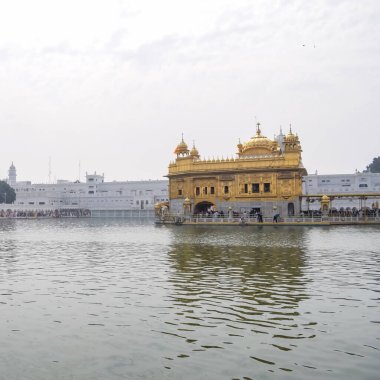 Amritsar, Punjab, Hindistan 'daki Altın Tapınağın (Harmandir Sahib) güzel manzarası, ünlü Hintli sih simgesi, Altın Tapınak, Amritsar, Hindistan' daki Sihlerin ana mabedi