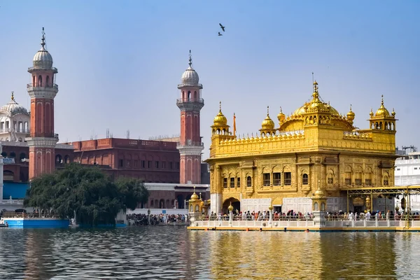 Amritsar Punjab Hindistan Daki Altın Tapınağın Harmandir Sahib Güzel Manzarası — Stok fotoğraf
