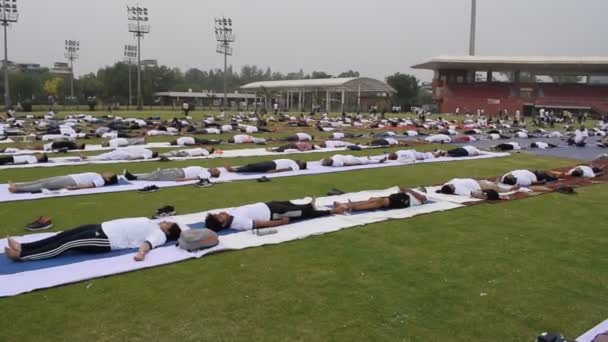 New Delhi Inde Juin 2023 Séance Exercices Yoga Groupe Pour — Video