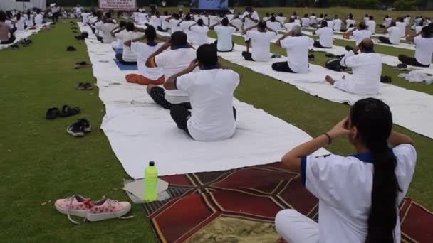 Nuova Delhi India Giugno 2023 Sessione Esercizi Yoga Gruppo Persone — Video Stock