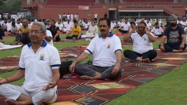 2023年6月21日 印度新德里 在国际瑜伽日当天 在德里亚穆纳体育馆为参加瑜伽班的成年人提供集体瑜伽训练课程 — 图库视频影像