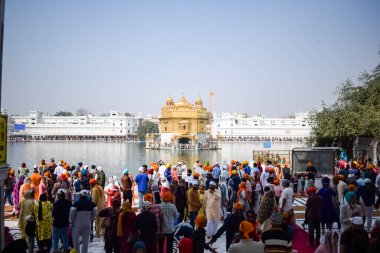 Amritsar, Hindistan - 26 Şubat 2023 - Amritsar, Punjab, Punjab 'daki Altın Tapınak' taki (Harmandir Sahib) tanımlanamayan dindarlar,